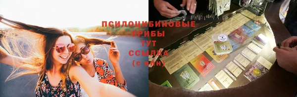 мдпв Арсеньев