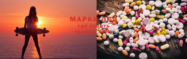 мдпв Арсеньев