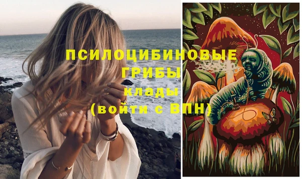 мдпв Арсеньев