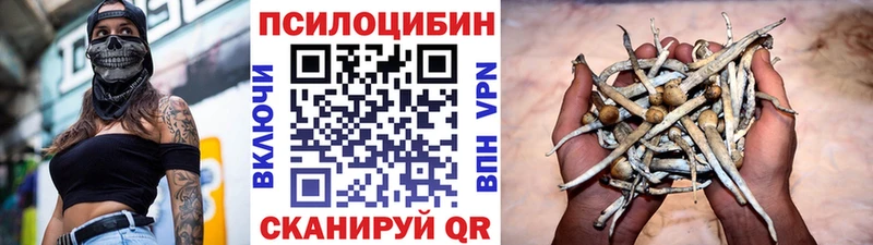 Псилоцибиновые грибы Psilocybe  Нея 